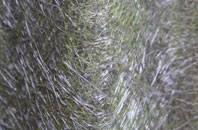 Inveralligin fibreglass roof work